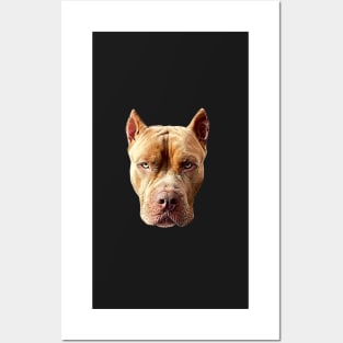 American Bully Pitbull Dog Posters and Art